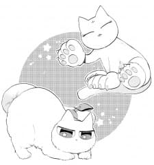 Топающий кот